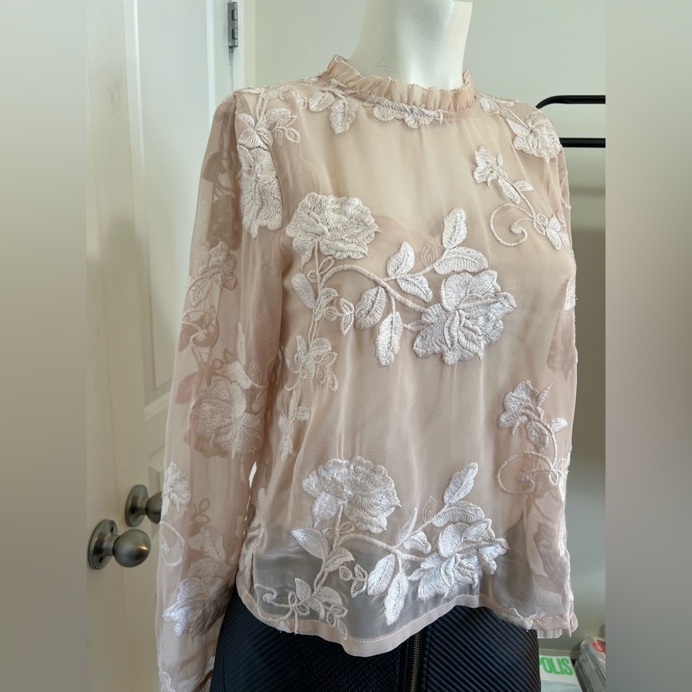 Endless Rose Sheer Embroidered Long Sleeve Blouse Small